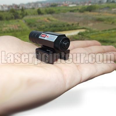 Viseur laser IR bleu tactique 11mm 20mm réglable Picatinny Rail Mount Gun  Blue laser Flash chasse avec piles - Chine Viseur laser et viseur laser IR  prix